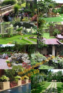 tieu canh san vuon copy