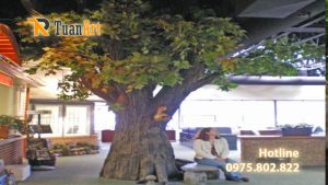 dap-cay-gia-dep-nhat