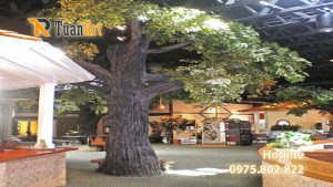 dap-cay-gia-trong-nha