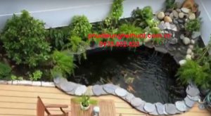 ho ca koi dep nhat viet nam 1
