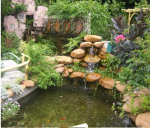 ho-ca-koi-dep-nhat-viet-nam