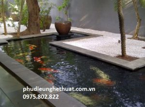 mau-ho-ca-koi-duoc-thi-truong-yeu-thich