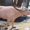tượng con trâu bằng xốp