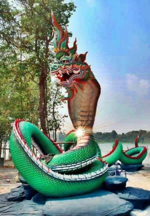 tuong xop con ran 1 Sao chep