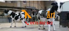 mô hình xốp con Bò Sữa sơn màu trắng đen tại xưởng